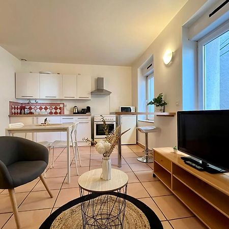 تورنو-سور-رون Le Studio Theolier Downtown - Close To Pedestrian Street المظهر الخارجي الصورة