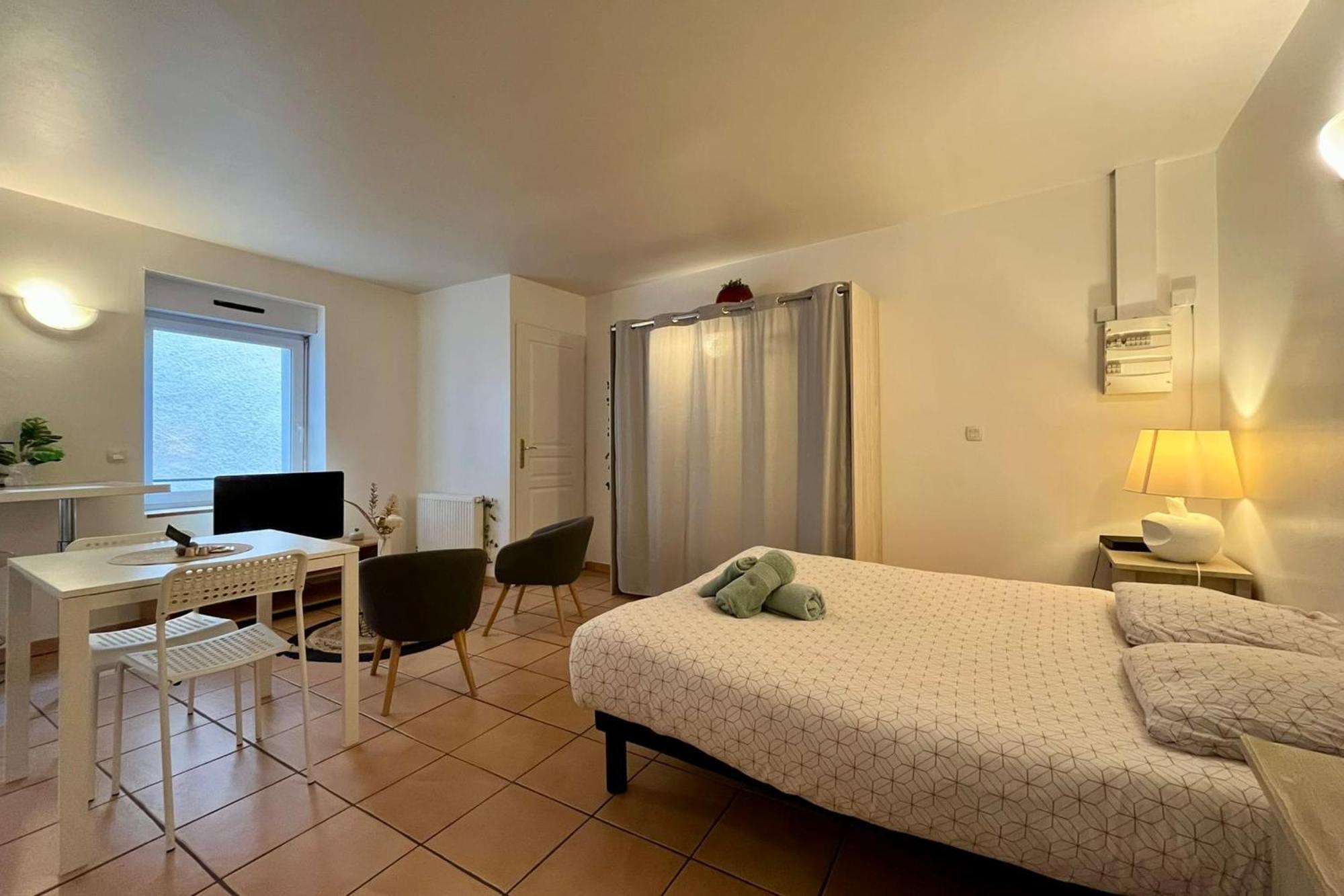 تورنو-سور-رون Le Studio Theolier Downtown - Close To Pedestrian Street المظهر الخارجي الصورة