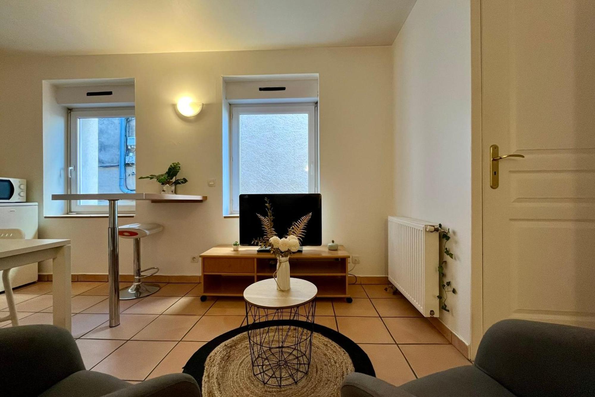 تورنو-سور-رون Le Studio Theolier Downtown - Close To Pedestrian Street المظهر الخارجي الصورة