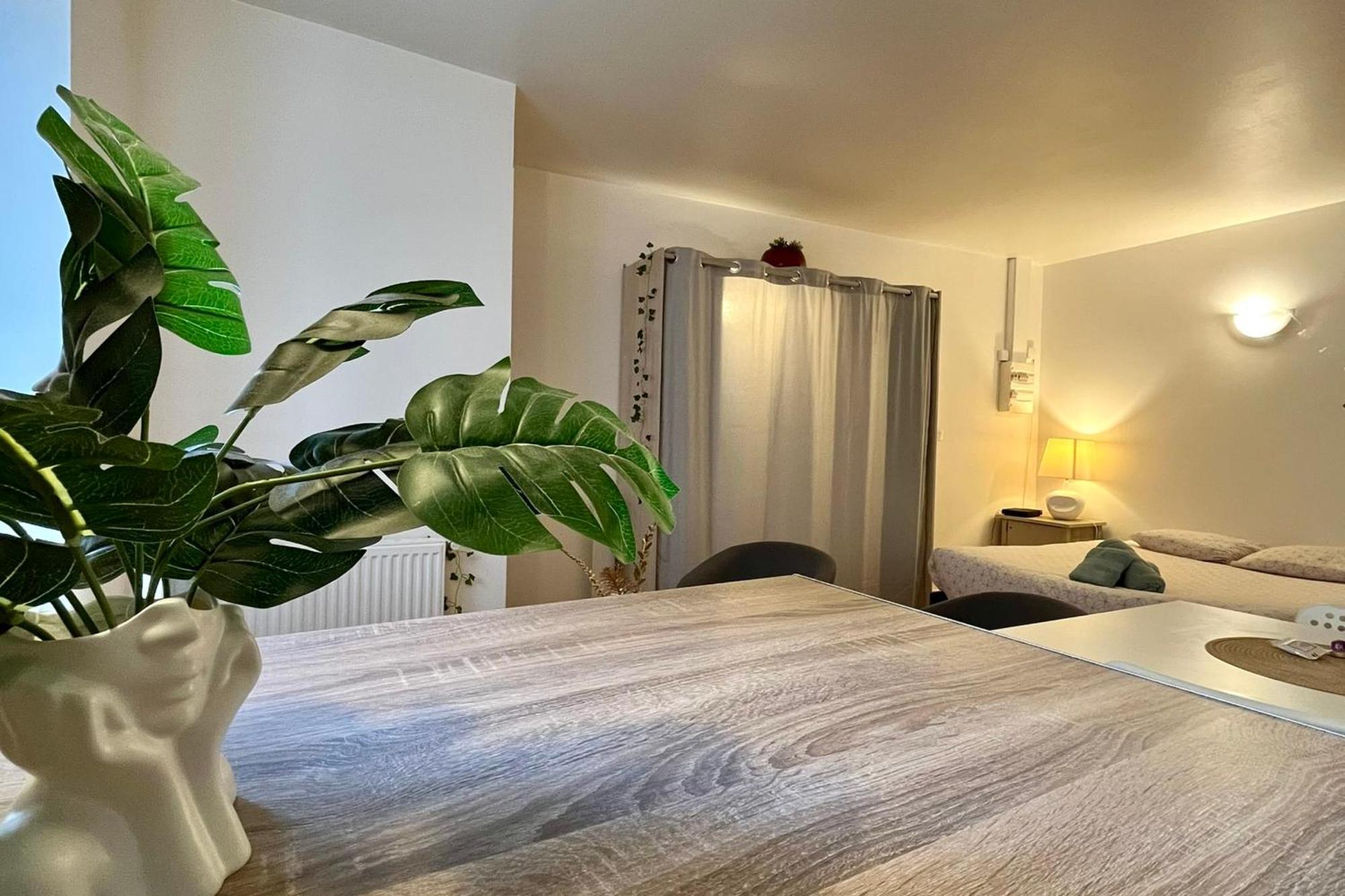 تورنو-سور-رون Le Studio Theolier Downtown - Close To Pedestrian Street المظهر الخارجي الصورة